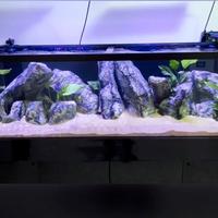 acquario grande