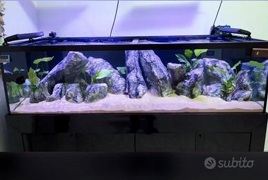acquario grande