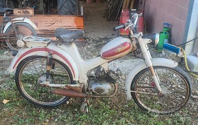 ciclomotore  Torpado