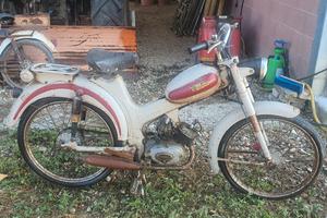 ciclomotore  Torpado