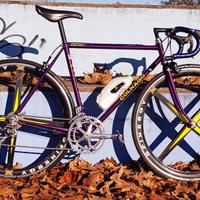 colnago 