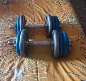 pesi allenamento