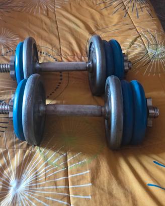 pesi allenamento