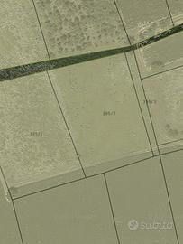 Terreno agricolo Comune di Visco