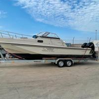 Boston whaler 25 revenge+2 x mercury 150 cv