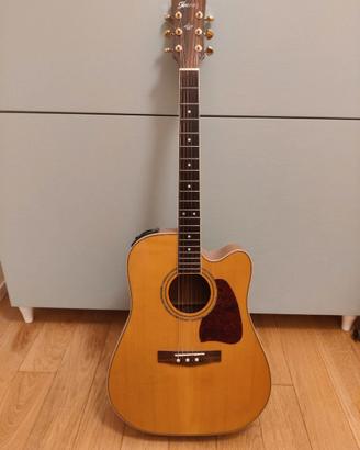 Chitarra Acustica Elettrificata Ibanez Artwood
