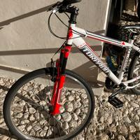 Bici TORPADO taglia M