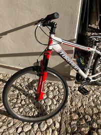 Bici TORPADO taglia M
