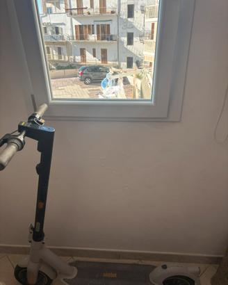 Monopattino elettrico ninebot max g30