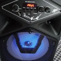 cassa ciaobosi altoparlante senza fili modello