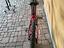 Immagine 3