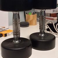 coppia manubri 10 kg(consegna solo su Roma)