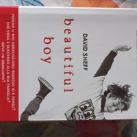 libro beautiful boy