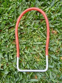 Morso cane da tartufo