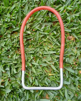 Morso cane da tartufo