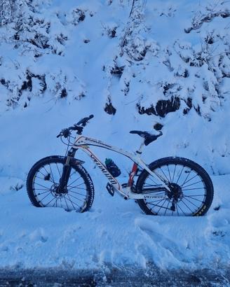 Specialized stumpjumpeer