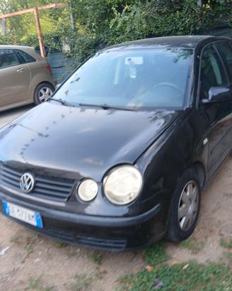 Volkswagen Polo 1.4 TDI 5p. Comfortline