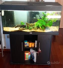 acquario 160 litri
