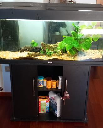 acquario 160 litri