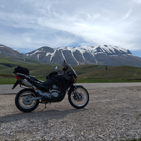 Honda Transalp 650 anno 2002