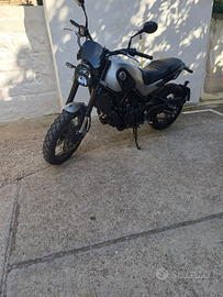 Benelli Leoncino trail 500 anno 2018