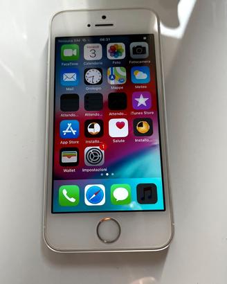 iPhone 5s