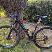 Bicicletta Torpado Ribot Z