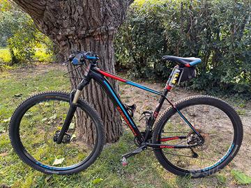 Bicicletta Torpado Ribot Z