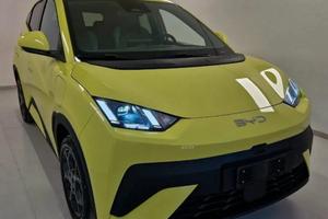 Byd Dolphin Surf Allestimento Boost km zero