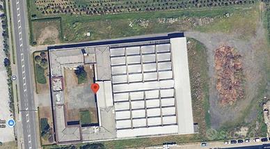Immobile in asta di 11480 m² a Sandigliano