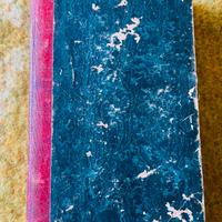 “Sibilla Odaleta” 1828 libro antico