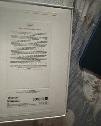Apple ipad