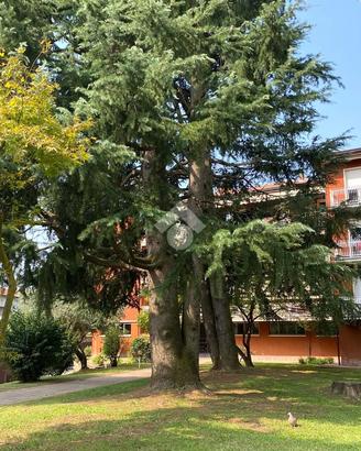 3 LOCALI A ROBBIATE