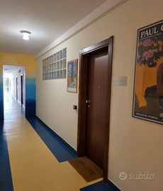 Appartamento ufficio 60 mq più terrazzo