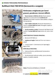 trincia decespugliatore a martelli 