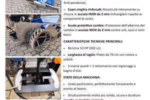 trincia decespugliatore a martelli 