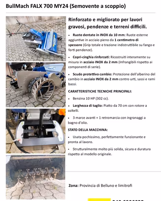 trincia decespugliatore a martelli 