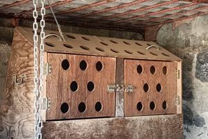 Trasportino x cani e pneumatici x panda 141