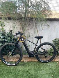 Bici a prdallata assistita KTM