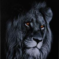 Foto d'arte Retro illuminata    (Rif 68)