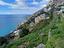 Immagine 24