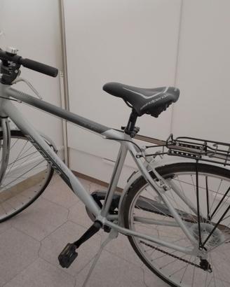 Bici Regina Trekking Venezia