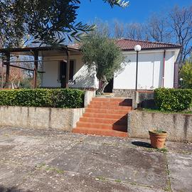 Villetta con dependance 3492216289