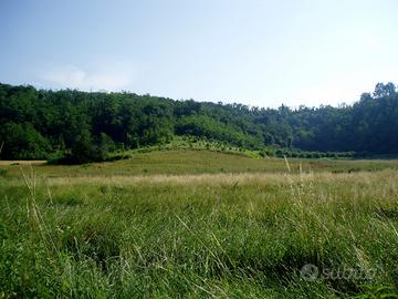 Terreno agricolo ad Ottiglio (AL) 5430 mq