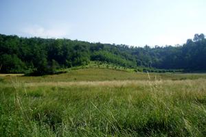 Terreno agricolo ad Ottiglio (AL) 5430 mq