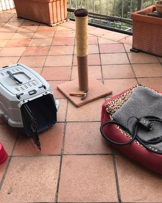 Cuccia cuscino cane gatto