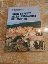 LIBRO IGIENE E SALUTE  LAVORAZIONE DEL PORFIDO