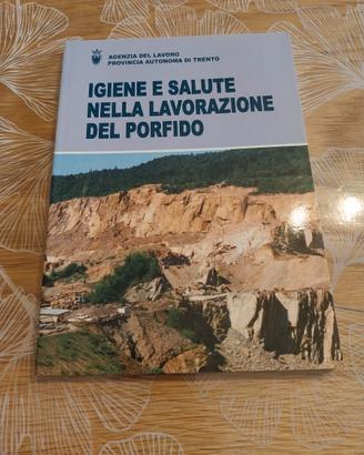LIBRO IGIENE E SALUTE  LAVORAZIONE DEL PORFIDO