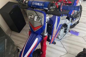 Mini cross morini