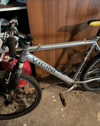 Mountain bike marca Vicini